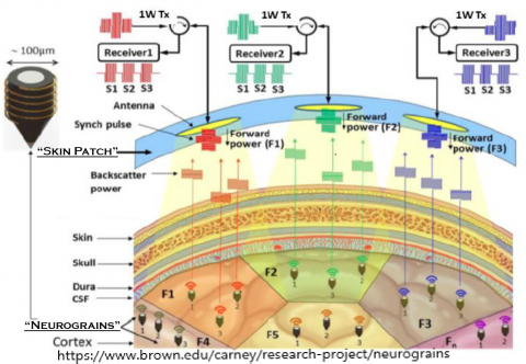 AfterCollection's tweet photo. 'neurograin integrates radio frequency energy-harvesting, neural sensing, cortical microstimulation & networked bidirectional wireless telemetry'
#NonconsensualImplants
RT to regulate Dangerous Technologies & Support our Fight to preserve Liberty
https://t.co/6IdjJMfuUf https://t.co/LLIeczRGhx