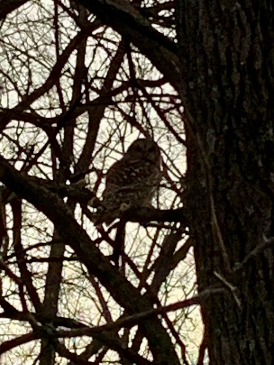 Tinna with two Ns tweet media