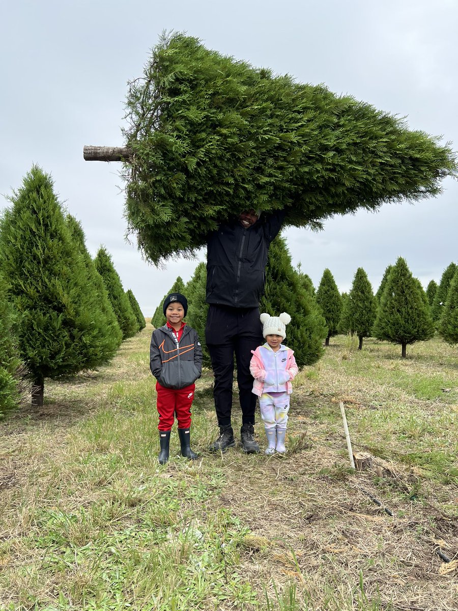 David Johnson tweet media