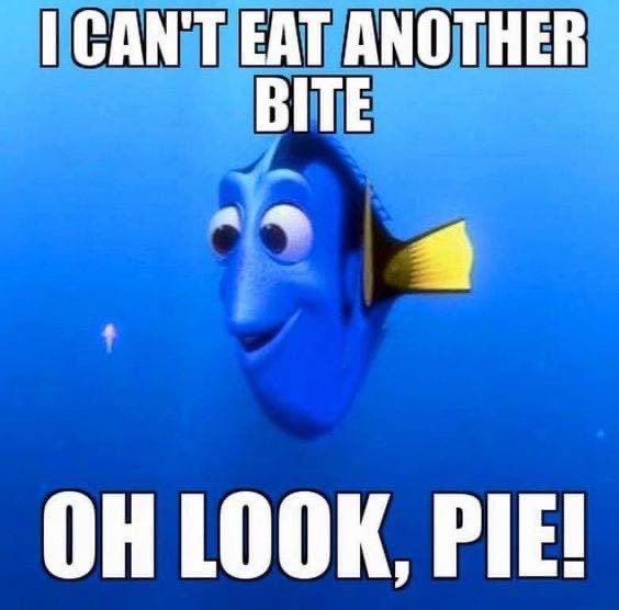 HighlandsCoth's tweet photo. I hope you had a great Thanksgiving.  Keep enjoying your time off, we are not meeting this Sunday for Student Ministry (November 28).  Be sure and finish all the left overs, especially the pie! https://t.co/78nxfej0lF