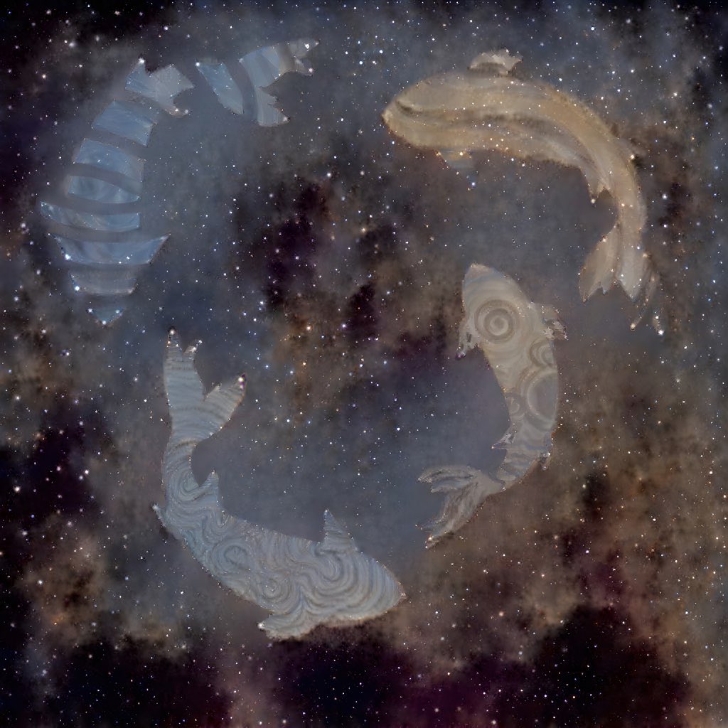 ENCYZOO's tweet image. 𝔼𝕩𝕡𝕚𝕤𝕔𝕒𝕣𝕚 ℂ𝕠𝕕𝕖𝕩 𝕀I

“Within chaos lies the escape, but reality is all encompassing” - Polybius.XVI

detected on 10.16.2021 07:32:09

These creatures show no signs of ability to communicate, even between members of their own species.

#SolanaNFT #Solana #NFTs