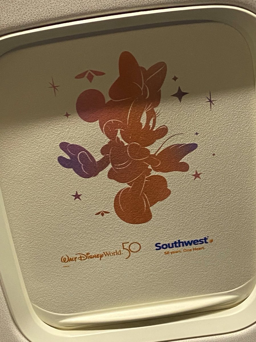 HippyDisneyGuy's tweet photo. For our flight home tonight we got “the one and only” Disney’s 50th anniversary plane! ✨✈️ 🎉 

Every window has a unique character! 
#WaltDisneyWorld 💖
@SouthwestAir @MCO https://t.co/riVFMCQPX8
