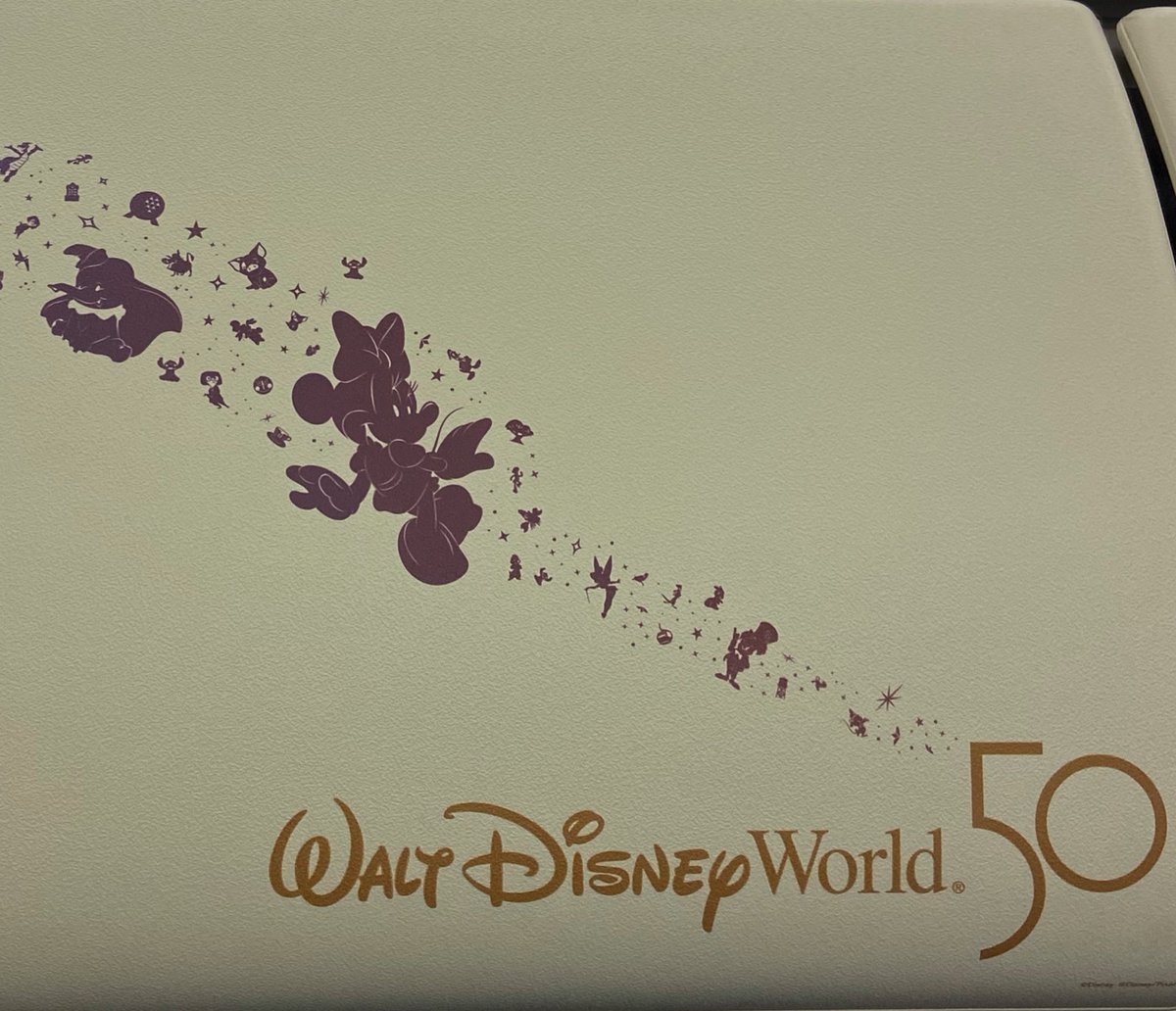 HippyDisneyGuy's tweet photo. For our flight home tonight we got “the one and only” Disney’s 50th anniversary plane! ✨✈️ 🎉 

Every window has a unique character! 
#WaltDisneyWorld 💖
@SouthwestAir @MCO https://t.co/riVFMCQPX8