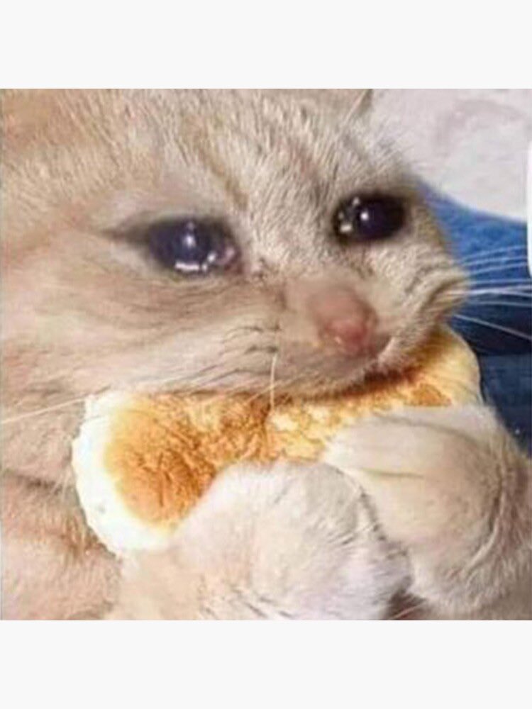 hun,,, i w ouildn;;t juidge a booik by it;;;s cover............... i may not SEEM scary,, but i can bbbe... you;;;ll know the defiunition of scary once u piss me off enough,,,, trust me.....