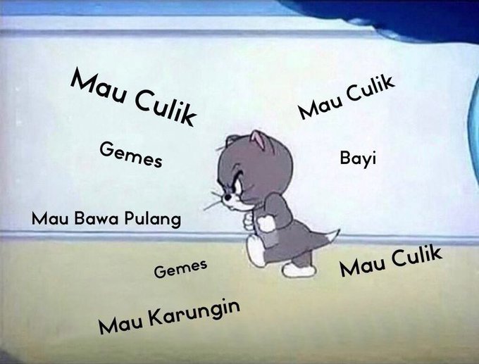 aku tweet media