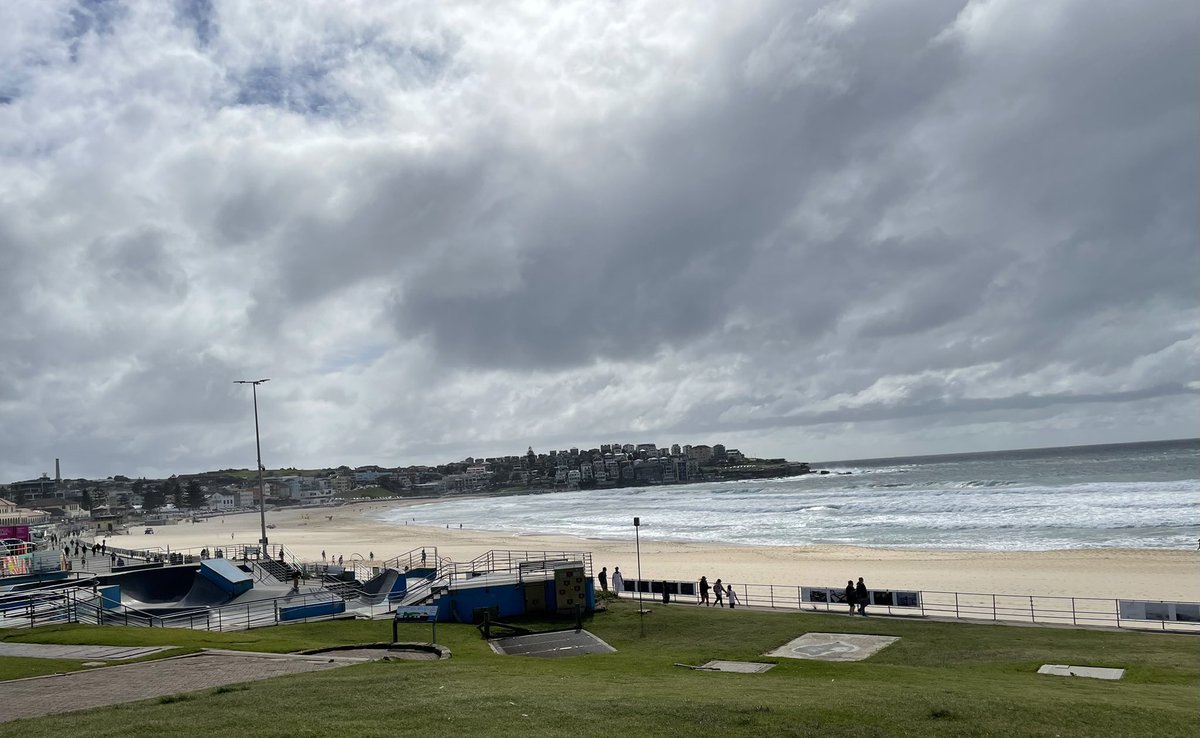 briafish1's tweet photo. #Bondi Beach 8am today https://t.co/vplwdZl6QR