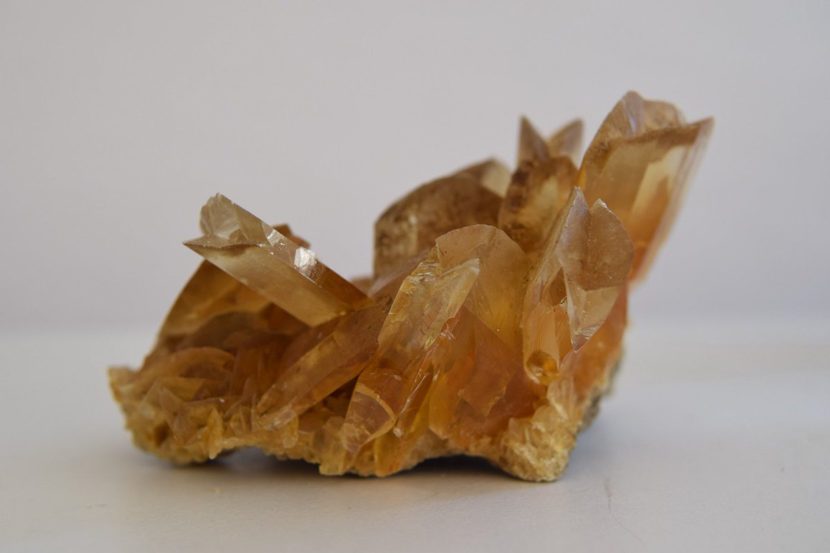 NineBall1123's tweet photo. ゴールデンセレナイト
Gypsum Bar.Selenite
Salinas de Otuma, Pisco Province, Ica Dept, Peru
#鉱物 https://t.co/9jbqrnKPwC