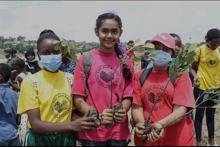 cefresa_ke's tweet photo. Yesterday we took part in the #Mangroveplanting in Mikindani along #TudorCreek. 
Mangroves play a crucial role in mitigation of Climate Change.

#MangroveReclamation
#ClimateAction 
#ecosystem 

@DTBKenya 
@KeEquityBank 
@Environment_Ke https://t.co/dqFX867fq4