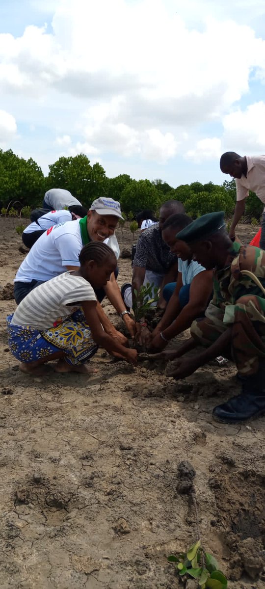 cefresa_ke's tweet photo. Yesterday we took part in the #Mangroveplanting in Mikindani along #TudorCreek. 
Mangroves play a crucial role in mitigation of Climate Change.

#MangroveReclamation
#ClimateAction 
#ecosystem 

@DTBKenya 
@KeEquityBank 
@Environment_Ke https://t.co/dqFX867fq4