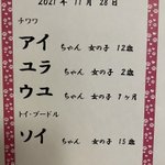 チワワのアイコさんのツイート画像