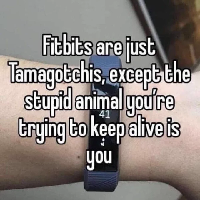 Fidbits are just Tamagotchis except YAN