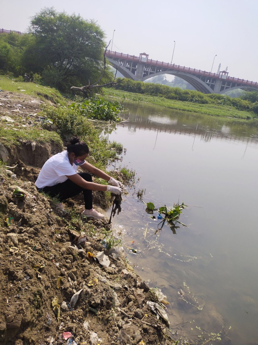 vrikshit's tweet photo. Microplastics are not just polluting seas and soils but they also find their way in our bodies and land and marine animals' bodies too.
Mindful disposal of the plastic and other waste is imp.
Join us on our cleanup drives every Sunday.
To volunteer,get in touch with us @vrikshit https://t.co/6Fx40FruBL