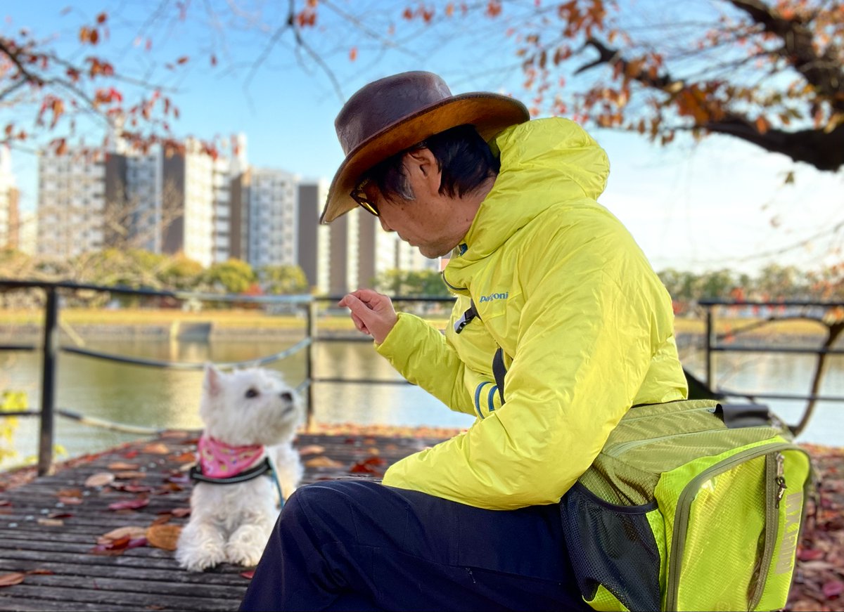 MEBALEON's tweet photo. 冬の釣りは特に、これくらい派手で良いのだよ、的なサンプル笑

＃Walnutshell
＃ウォルナットシェル
＃シャイニーグリーン
＃パタゴニア
＃DAS・ライト・フーディ https://t.co/LdpVXJsfo6