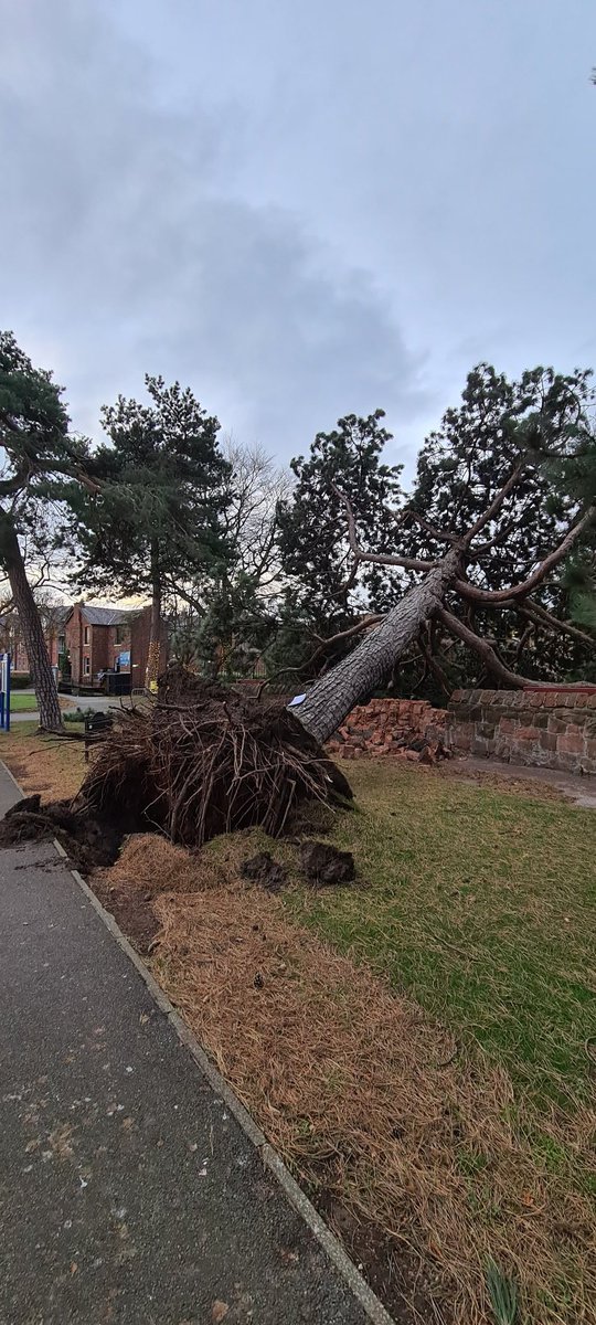 Light up Heswall tweet media