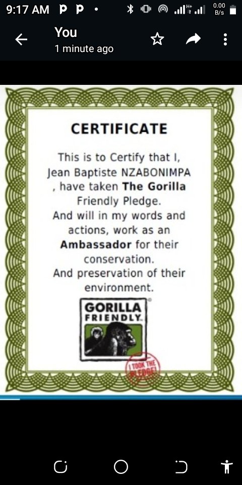 #GorillaFriendly
