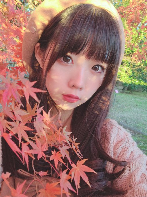 コスプレイヤーニャロメ・ニアのTwitter画像13