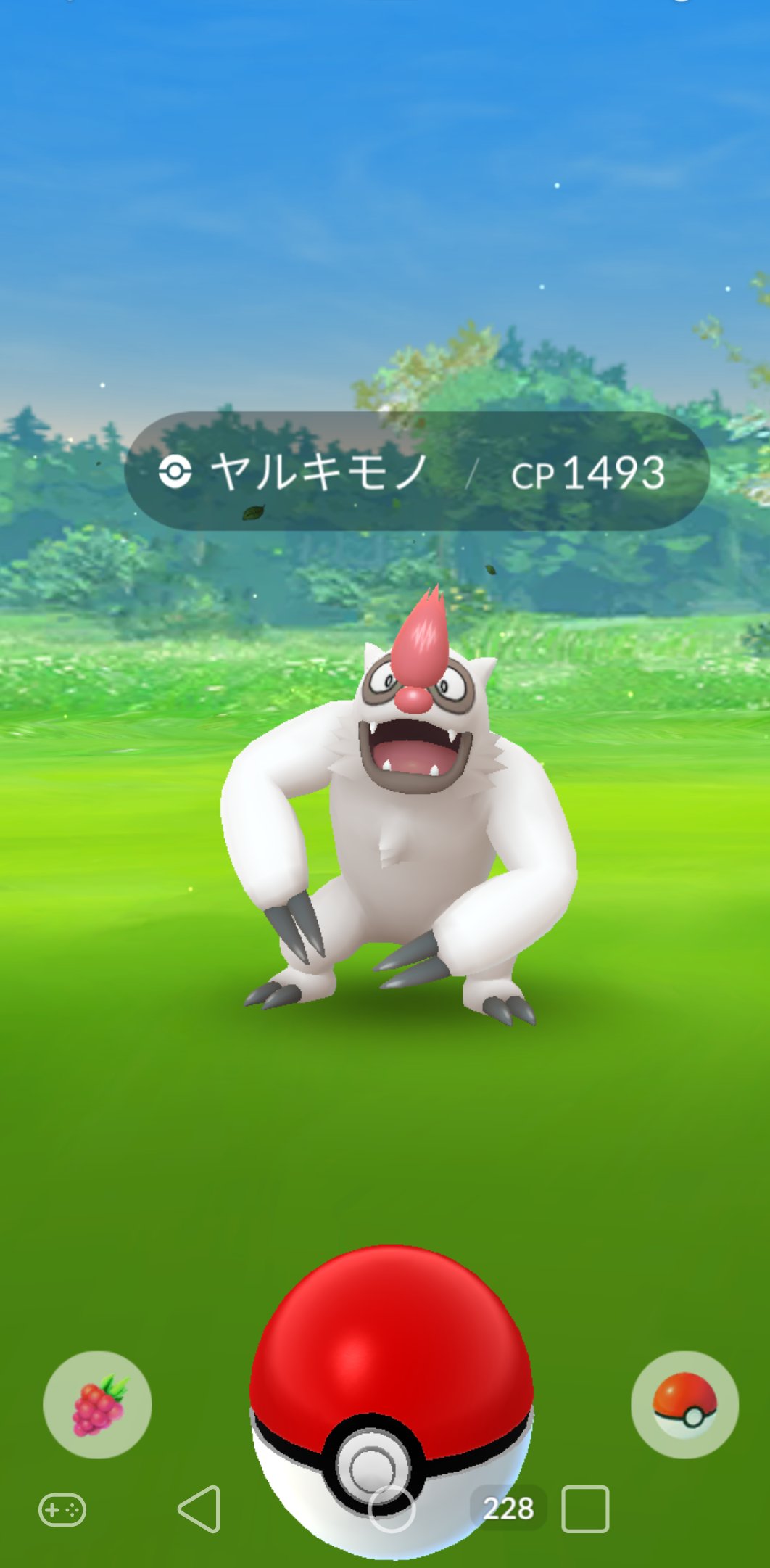 百式改 先程 ポケモンgo 立ち上げたら 野生で ヤルキモノが居た 期間限定ですか 野生でも出るんだな ポケモンgo ヤルキモノ 野生で T Co Nxel03a623 Twitter