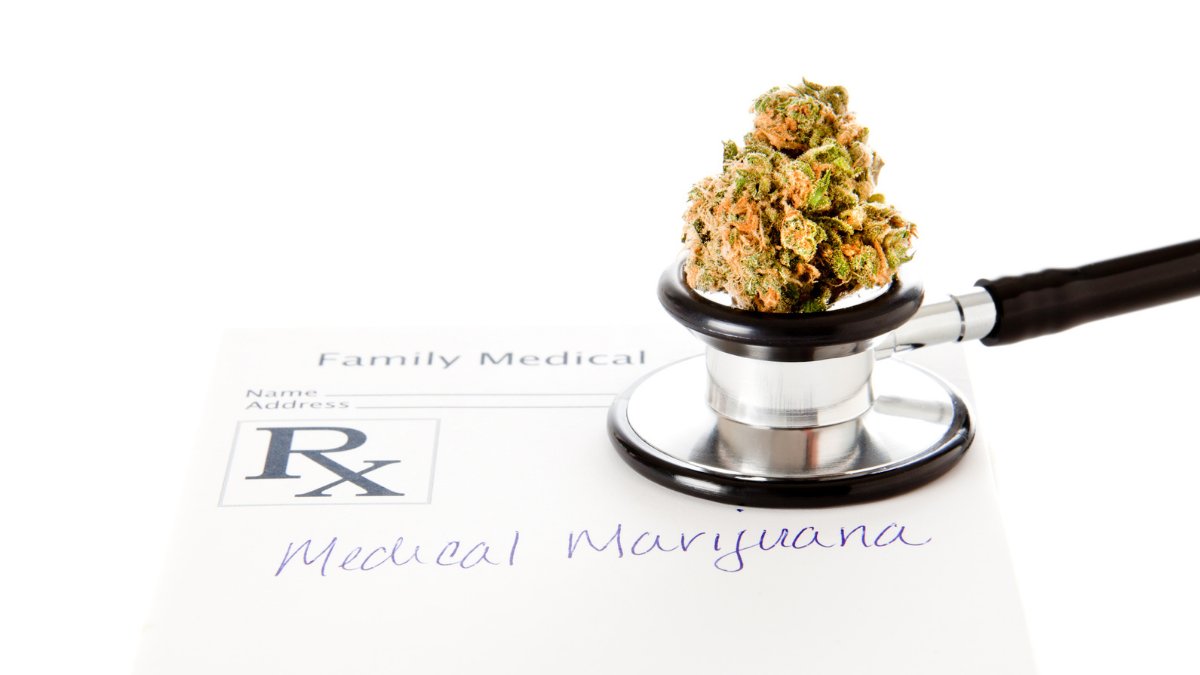 CBDLearningBase's tweet image. Last November 18, the South Dakota Medical Cannabis Program officially began issuing patient cards. However, the state has only received 10 applications. bit.ly/3p8EHhq

#CannabisCommunity #marijuana #cannabisculture #cannabisgrower #cannabisnews #CBD