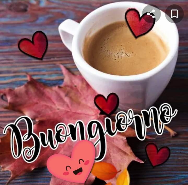 danielaursu2's tweet photo. Buongiorno buona domenica a tutti https://t.co/zbPVNpbhM8