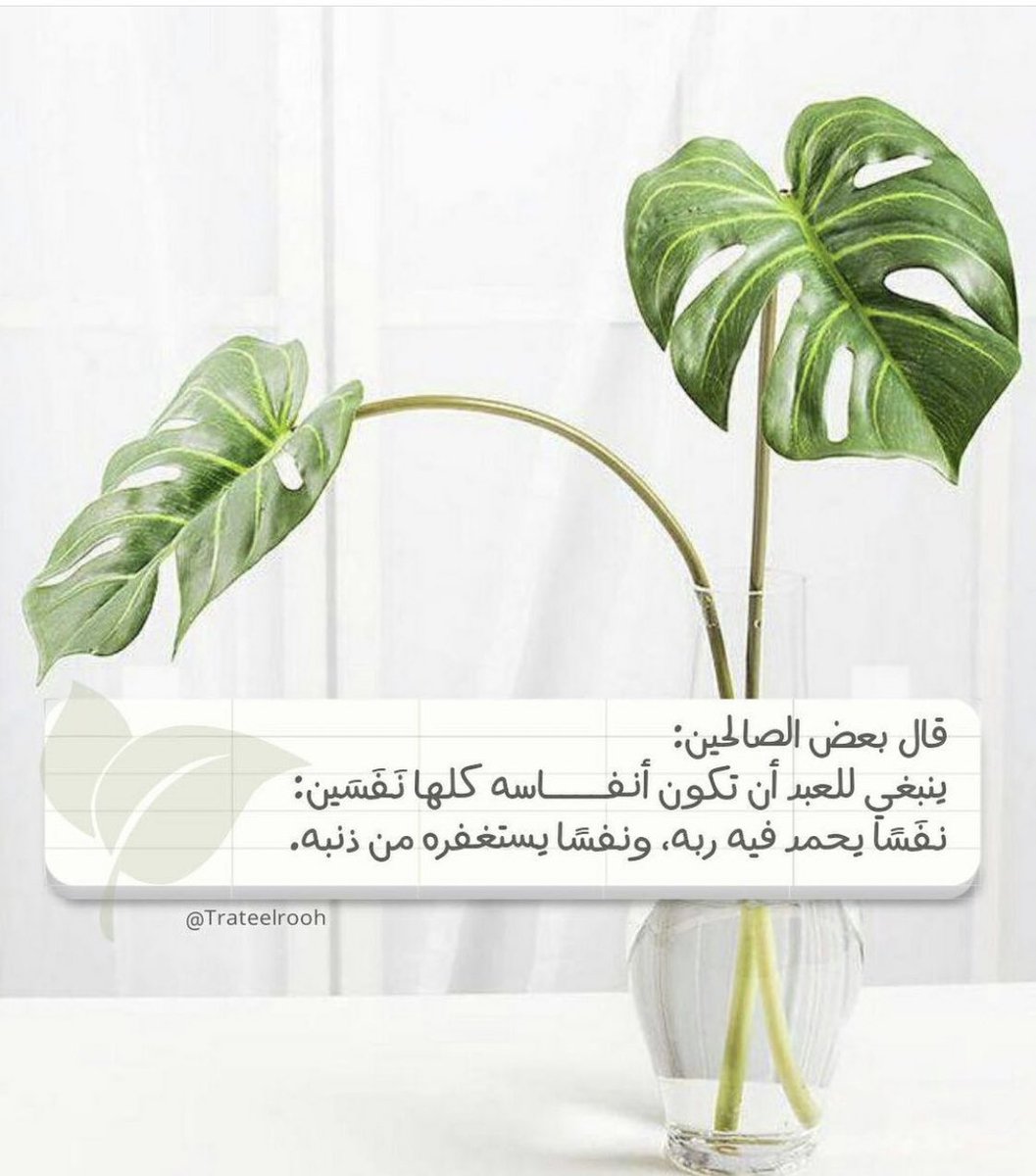 sa_alsbban's tweet photo. الحمدلله https://t.co/bfeNY854cV