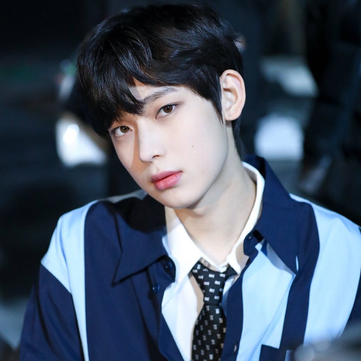 푸울 tweet media