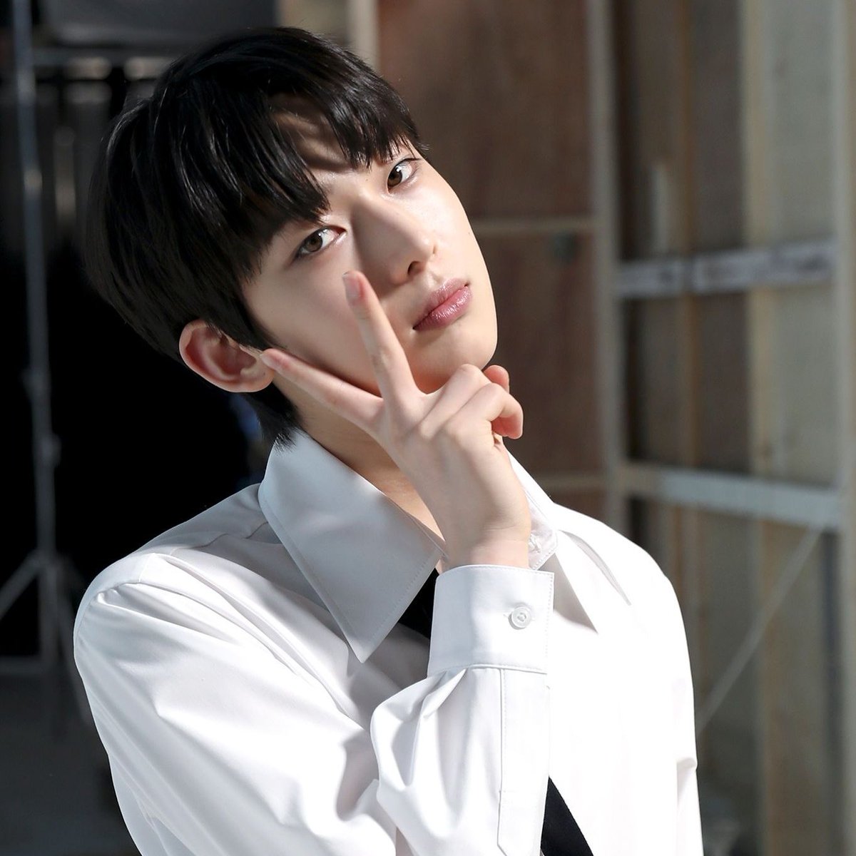 푸울 tweet media
