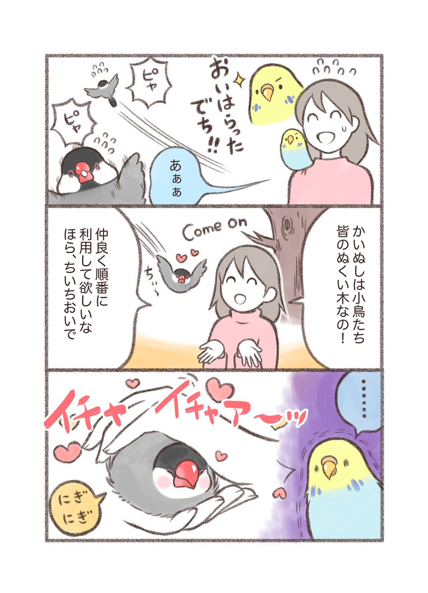 マンガ「うわきでち!」

メルちゃんの愛が重い。。🐥😌🦜

#セキセイインコ #漫画が読めるハッシュタグ 