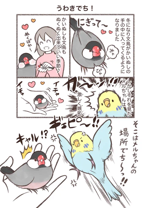 マンガ「うわきでち!」

メルちゃんの愛が重い。。🐥😌🦜

#セキセイインコ #漫画が読めるハッシュタグ 