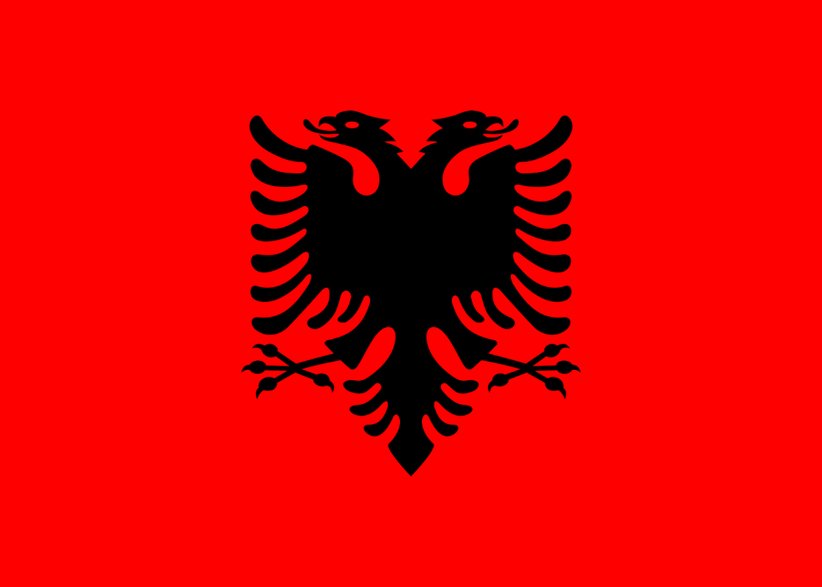 Lisdorambari's tweet image. Kujdes me çfarë flamuri🇦🇱 po e uroni festën sot, se janë ba shumë versione me shqiponja të deformuara në google.

#albanianflag