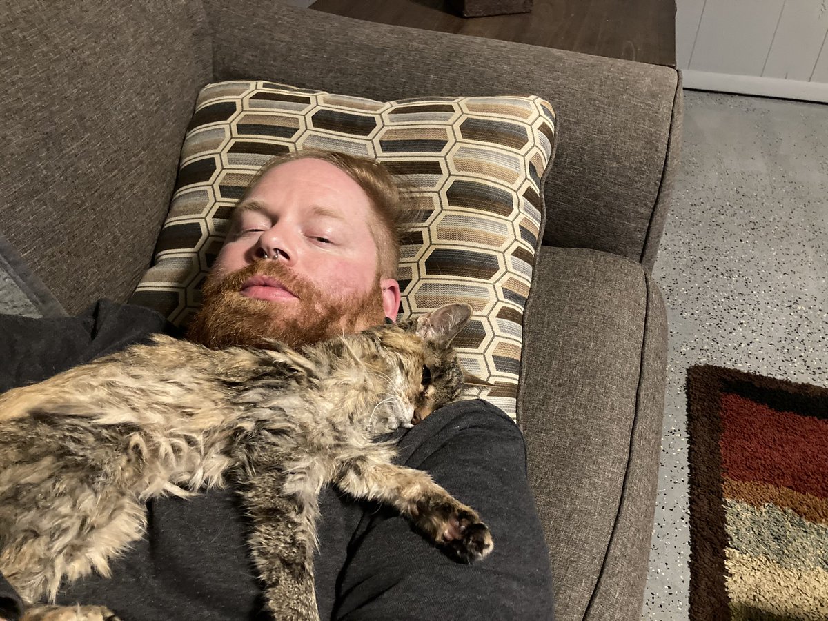 joco0614's tweet photo. It’s probably my 21 year old baby girl Frisky’s last night. Hoping she goes on her own. Poor things slowly fading. I’m taking this pretty hard. #LossofPets #ToughDecisons 😞 https://t.co/RlwpspRC29