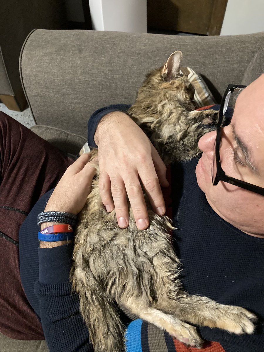 joco0614's tweet photo. It’s probably my 21 year old baby girl Frisky’s last night. Hoping she goes on her own. Poor things slowly fading. I’m taking this pretty hard. #LossofPets #ToughDecisons 😞 https://t.co/RlwpspRC29