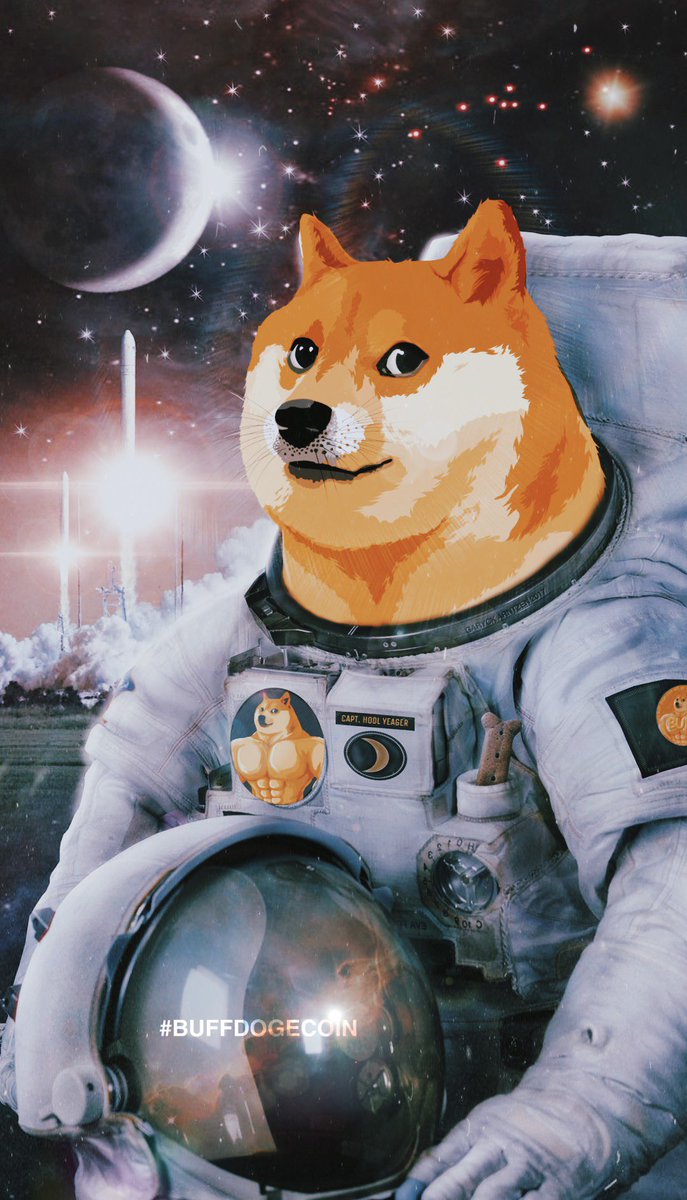 Kojima🍥 tweet media