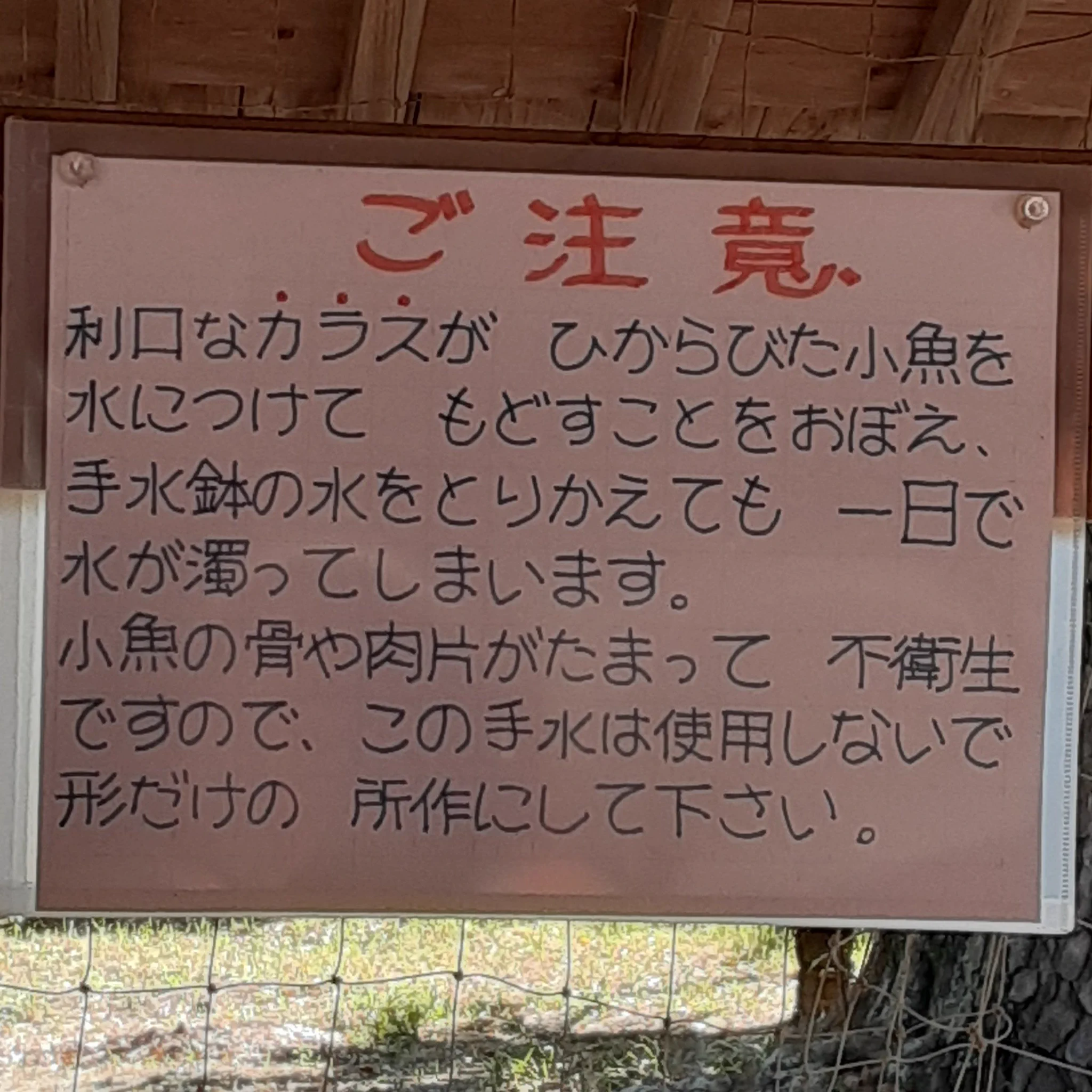 利口なカラスによって？手を洗う水場が荒らされてしまう！