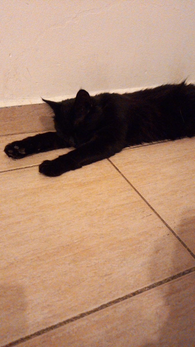 Fueguinatenaz tweet picture