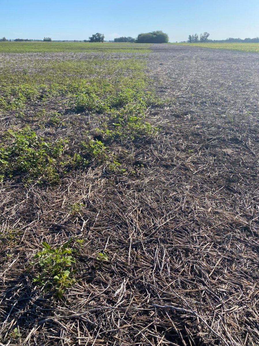 Nico Dons tweet media