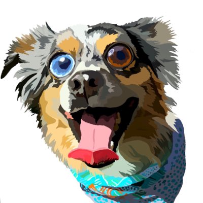 DoggoSebastian's tweet photo. #NewProfilePic https://t.co/QfZaeqcjbB