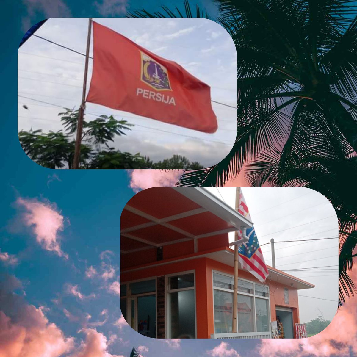 otlet the jak di mlg tweet media