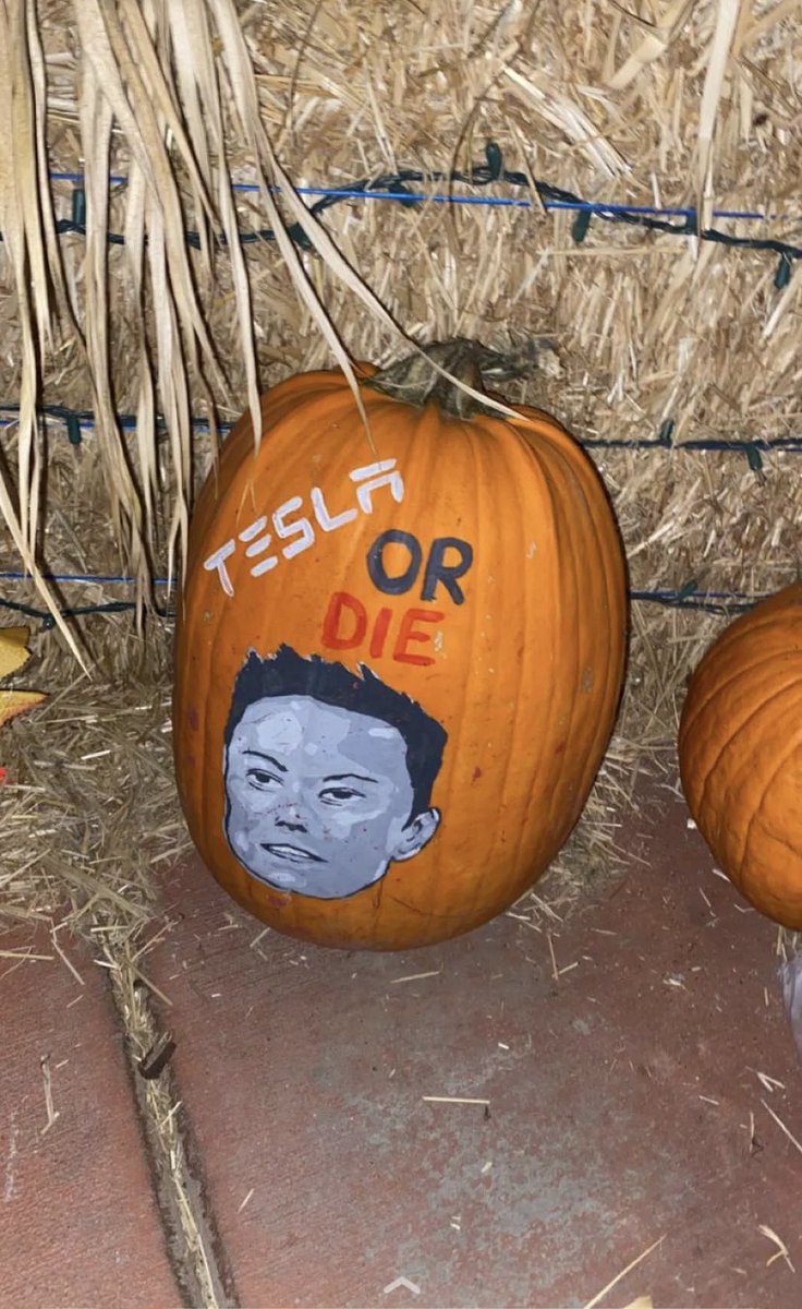 cuddlesf16's tweet photo. @elonmusk u look sooo good here😘 https://t.co/vl0svcKjjx