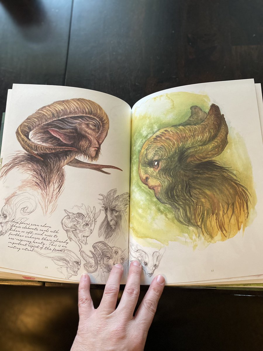 MWylieBooks's tweet photo. Look what came in the mail from @eyeofnewt_books by @iriscompietart Itβs absolutely stunning! #faeriesofthefaultlines https://t.co/EBLKshKkmI
