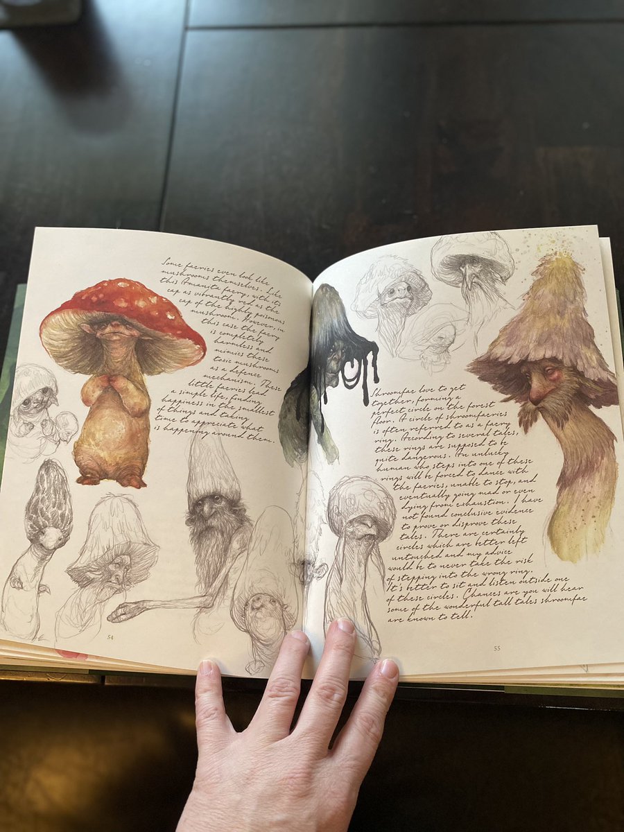 MWylieBooks's tweet photo. Look what came in the mail from @eyeofnewt_books by @iriscompietart Itβs absolutely stunning! #faeriesofthefaultlines https://t.co/EBLKshKkmI