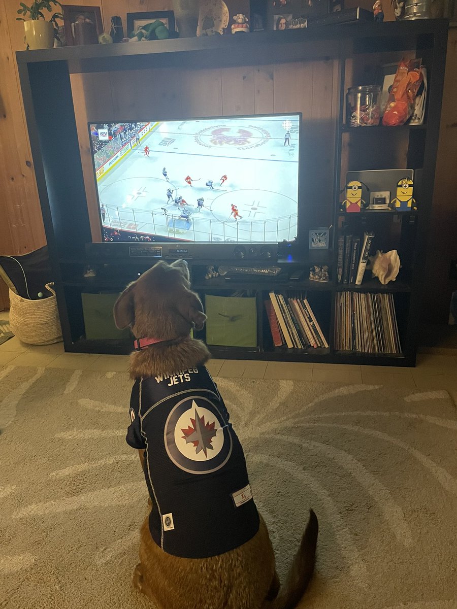 KaylaReid10's tweet photo. Mia is ready for the game tonight. @NHLJets https://t.co/lbQLdUSJWg