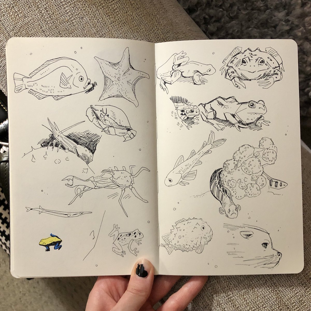 got to draw fish at the aquarium and a tiny little girl told me she loved my hairstyle, overall 10/10 day 