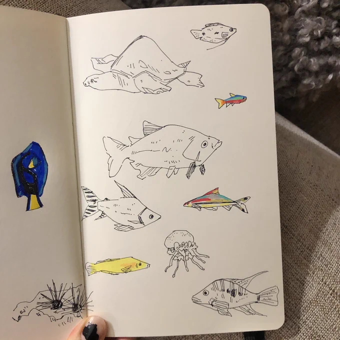 got to draw fish at the aquarium and a tiny little girl told me she loved my hairstyle, overall 10/10 day 