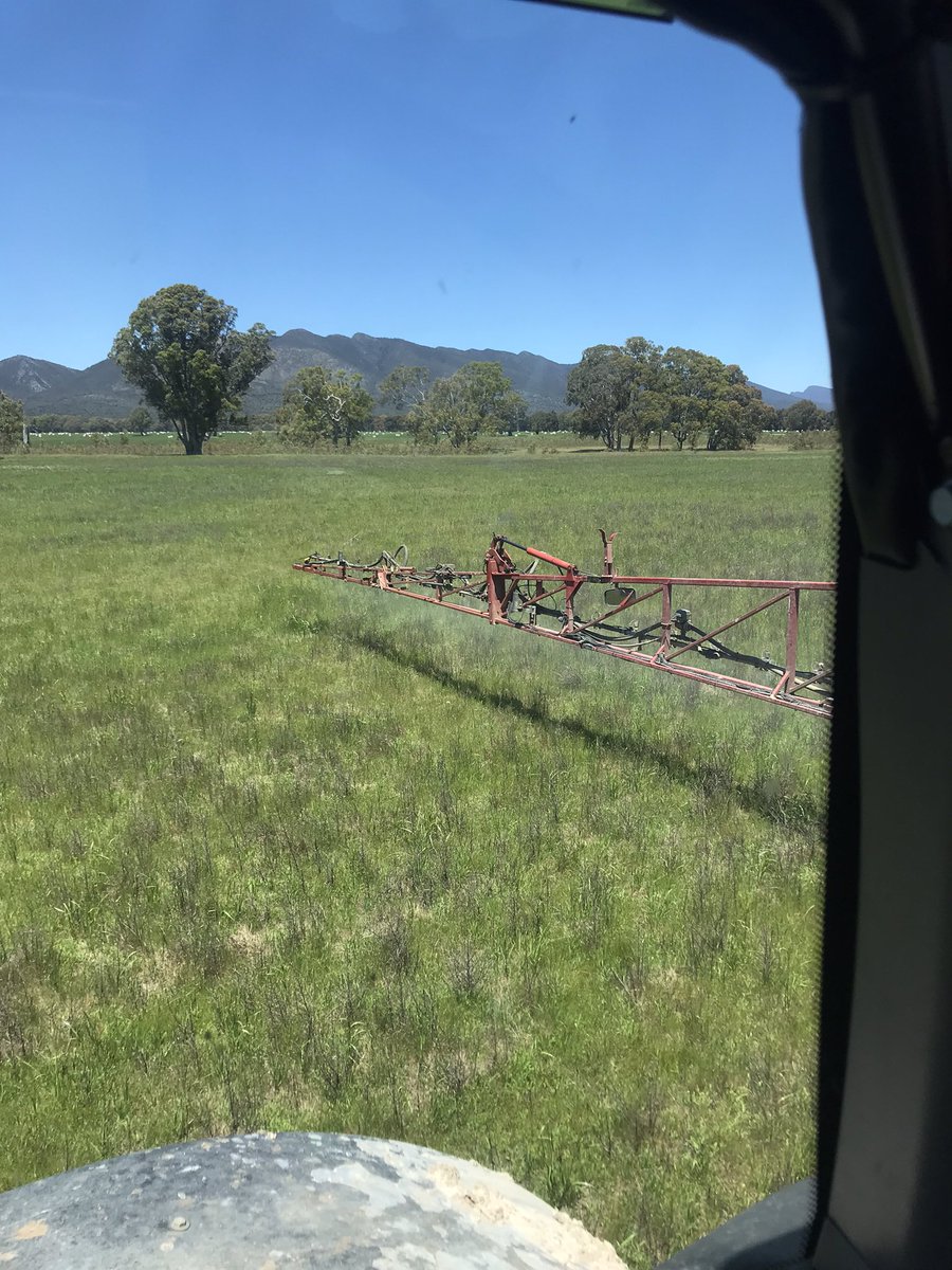 87Wlc's tweet image. Round two for knockdown on the summer crop the one I did two months ago was a bit premature, #wetspring#verylatesowing