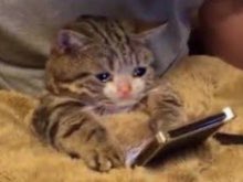 hazel_pine's tweet photo. I’m just trying to make friends and automatically gets kicked for asking someone to tell them that I’m a nice person which I actually am and not trying to start a problems tf nigga i’m tired of being a fucking friendly and asking people for stuff https://t.co/K4FfQz2hsZ