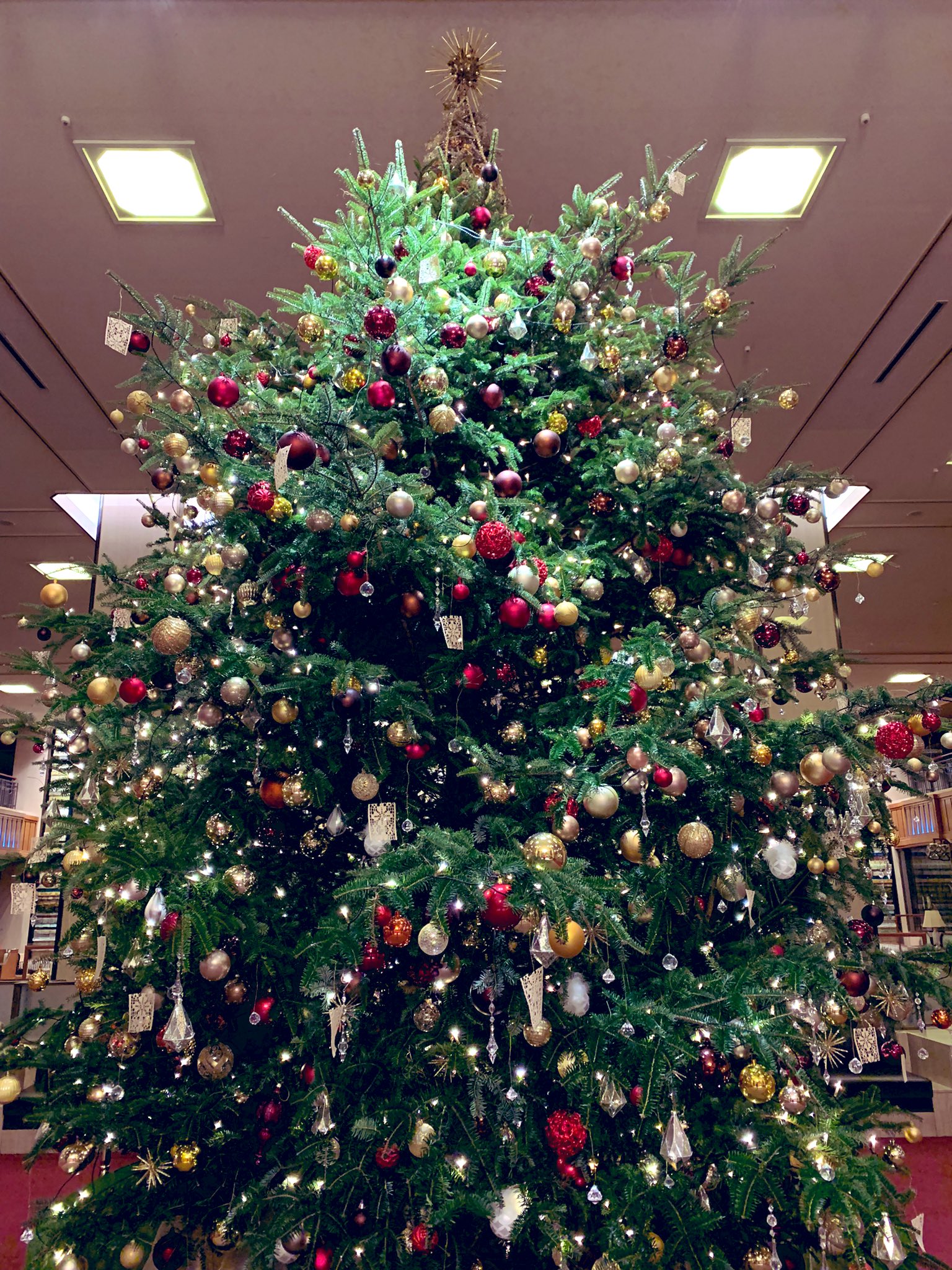Chopin 移動記 クリスマス仕様な帝国ホテル 久しぶりに大好きなフォアグラ丼を 帝国ホテル クリームコロッケ フォアグラ パークサイドダイナー クリスマス ツリー バラ 日比谷 東京 夕飯 T Co Emujs9lhy7 Twitter