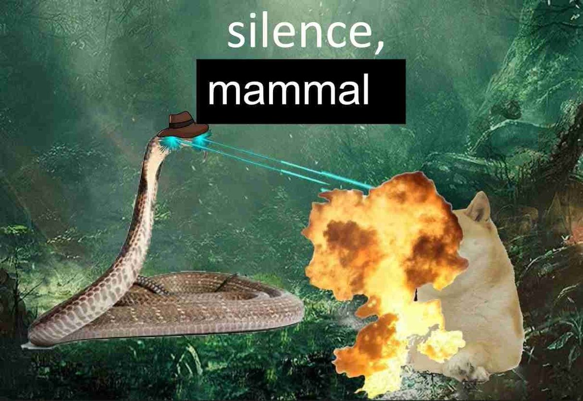 CryptoHermey's tweet photo. @marsdollartoken #snekbsc https://t.co/wLTtHY13L1