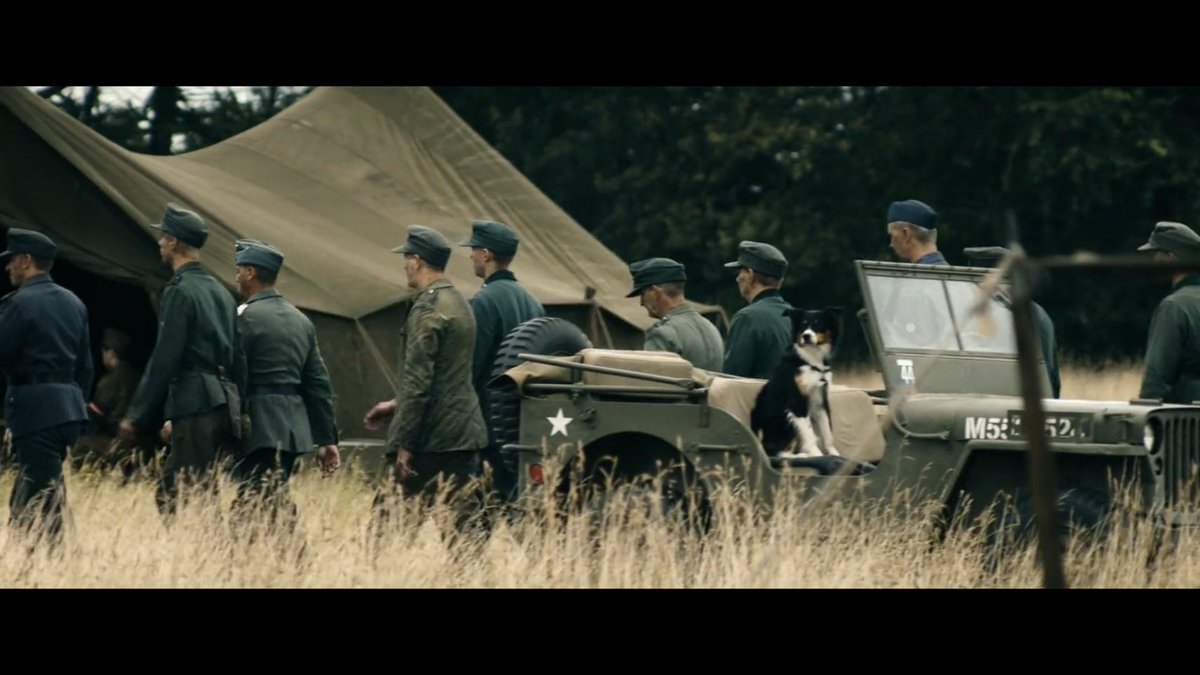pelimancer's tweet photo. perrito en land of mine <3 https://t.co/GFbstrPVKQ