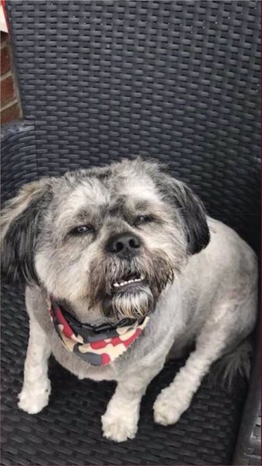 Me: I guess I should really read up on the bad dragon stuff finally Me 20 minutes later, gazing into<a href="/tag/thotshit"class="tags"><span>#thotshit</span></a>