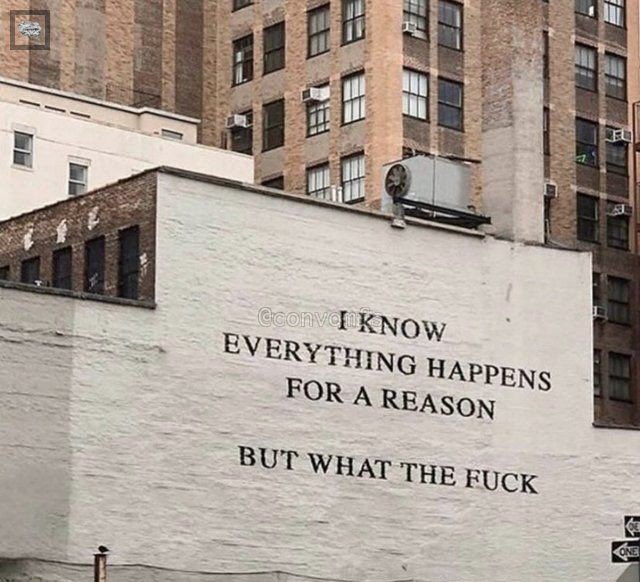 Basic Mood tweet media